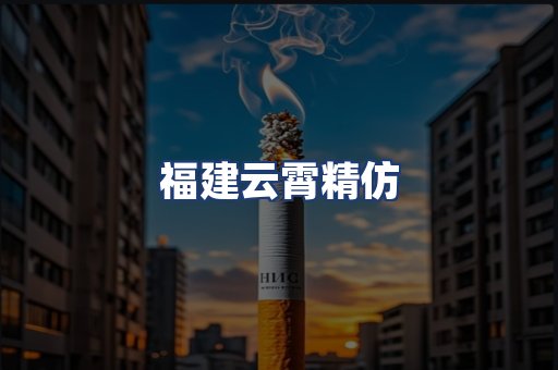 福建云霄精仿
